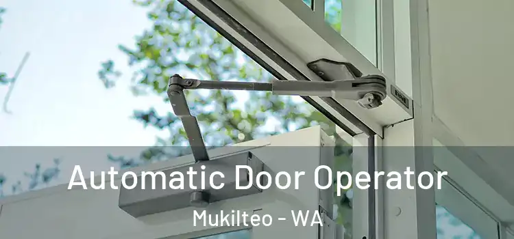 Automatic Door Operator Mukilteo - WA