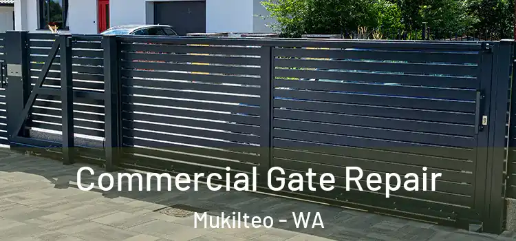 Commercial Gate Repair Mukilteo - WA