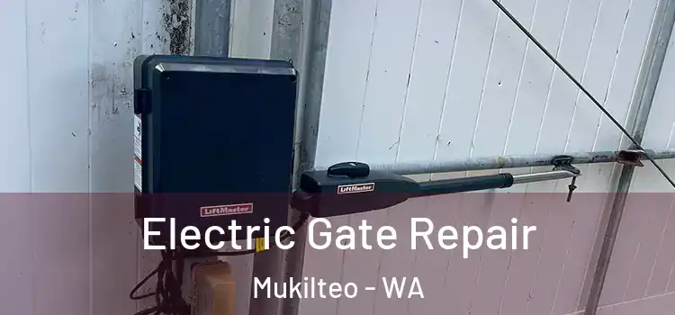 Electric Gate Repair Mukilteo - WA