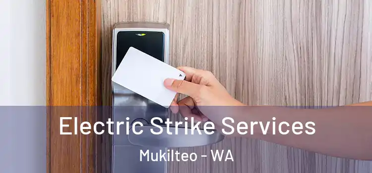 Electric Strike Services Mukilteo - WA