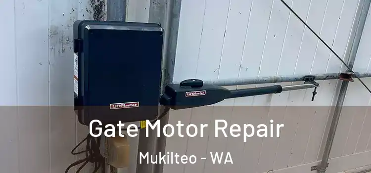Gate Motor Repair Mukilteo - WA