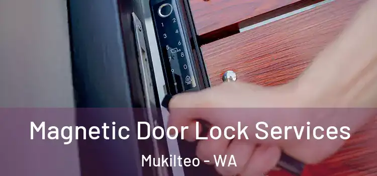 Magnetic Door Lock Services Mukilteo - WA
