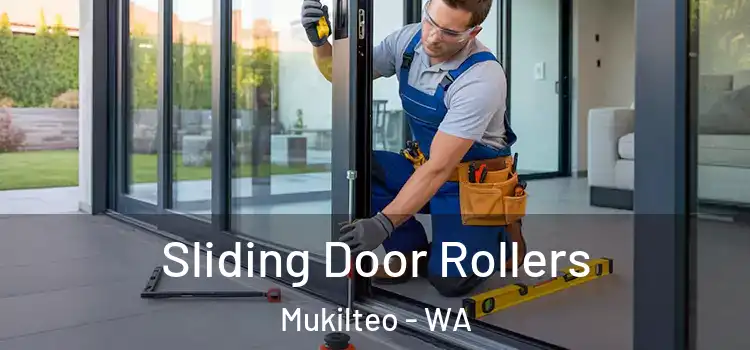 Sliding Door Rollers Mukilteo - WA